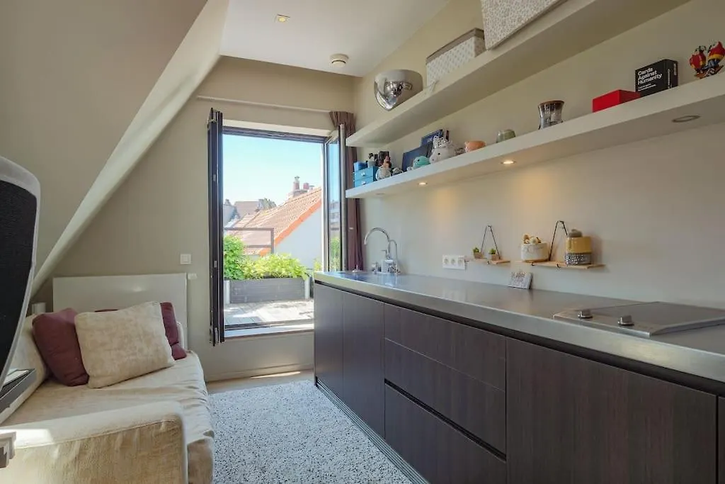 1000M2 Villa With Indoor Pool Brussels Belgium